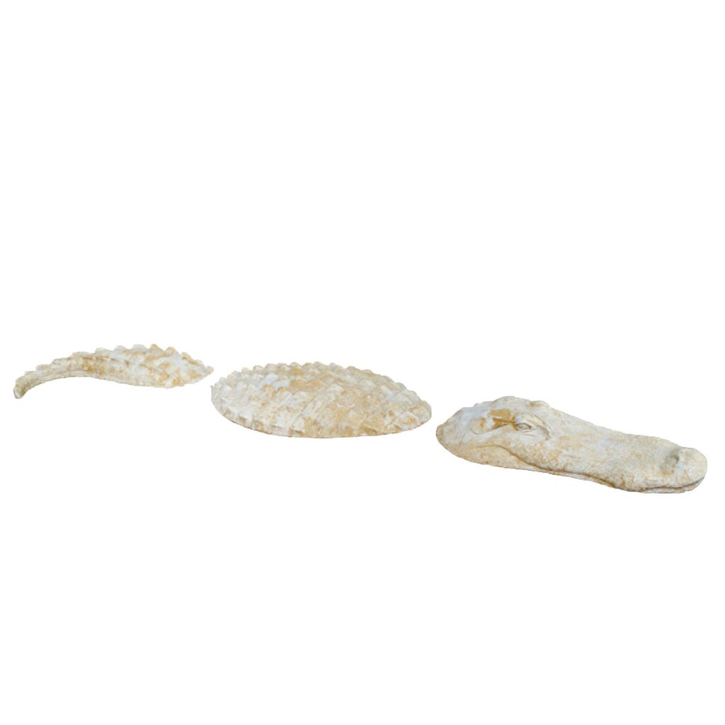Dreiteiliges Krokodil Set Aus Steinguss Für Den Garten - Croco