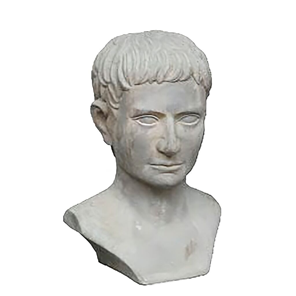 Edle Büste Mann Aus Terrakotta - Antik-Optik - Titus