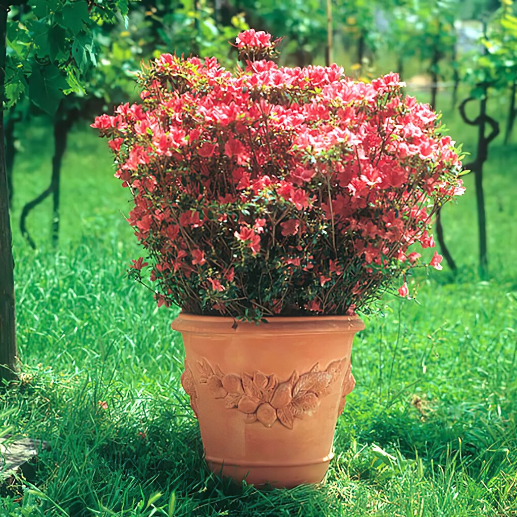 Terrakotta Topf Rund Mit Floralem Dekor - Andrea