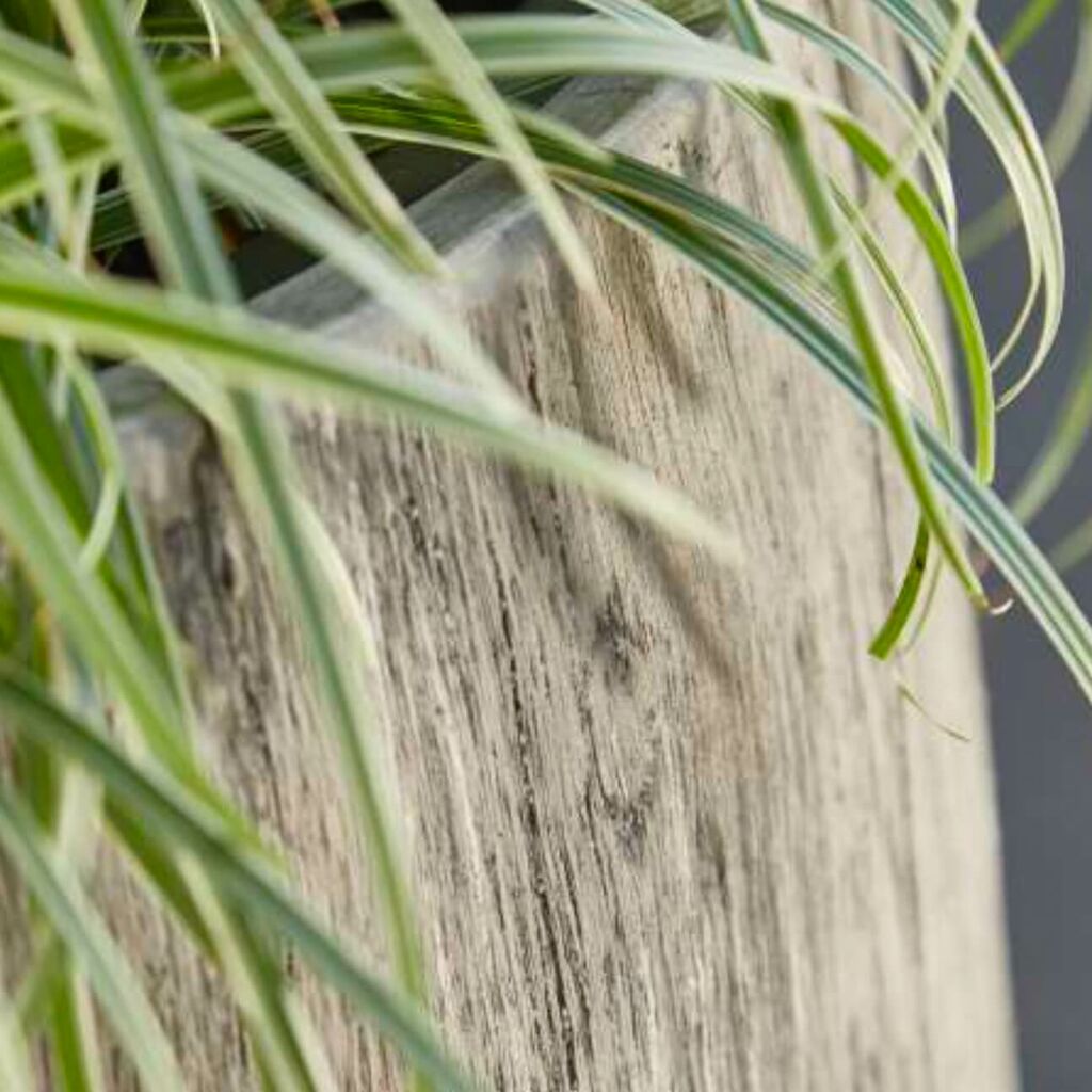  2er Set Pflanzkübel Aus Polystone Mit Einsatz - Rund - Grau Mit Holzstruktur-Optik - Yemaya