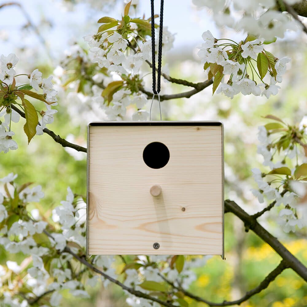  Design Vogel Nistkasten Aus Holz & Edelstahl - Ganymedes