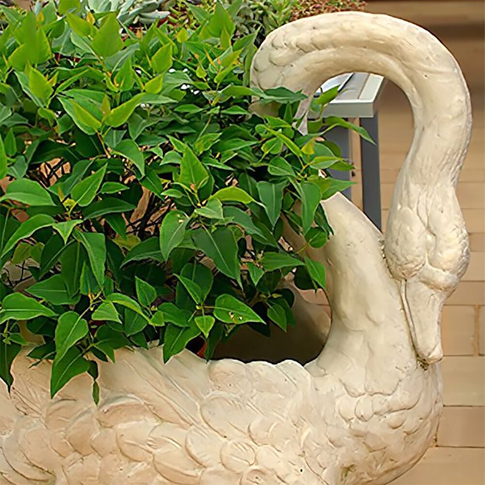 Einzigartige Pflanzschale Zum Bepflanzen - Schwan Aus Wetterfestem Steinguss - Erasmia