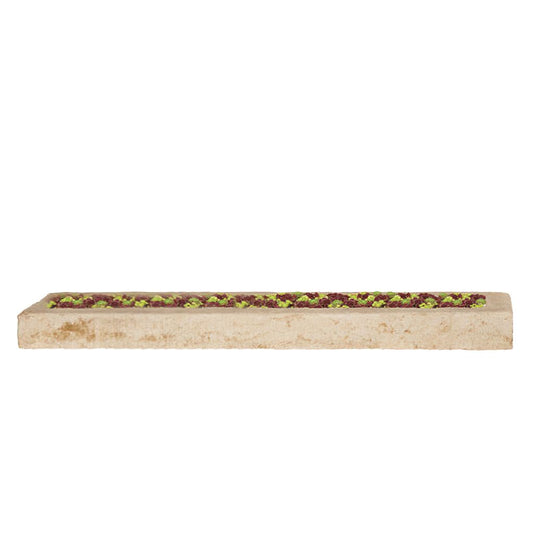  Flaches Pflanzgefäß Im Modernen Design Aus Steinguss - Salix