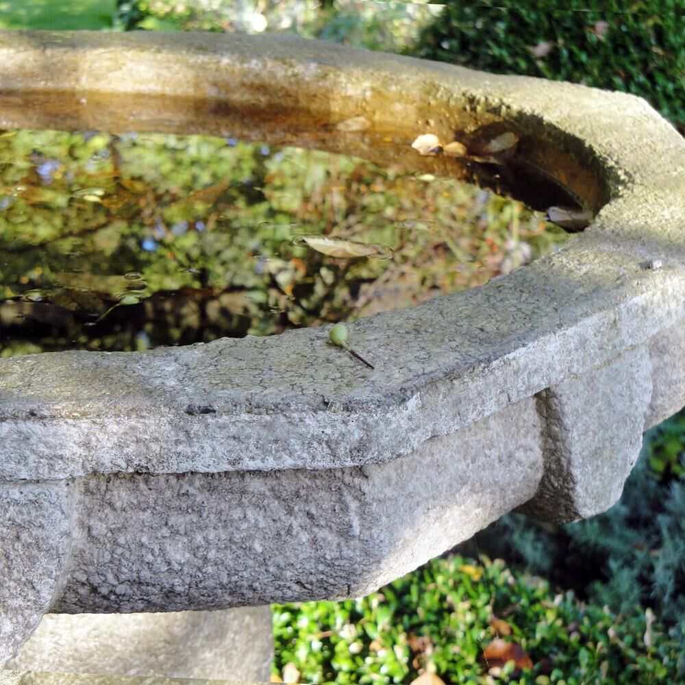  Garten Vogelbad Stehend - Sindbad