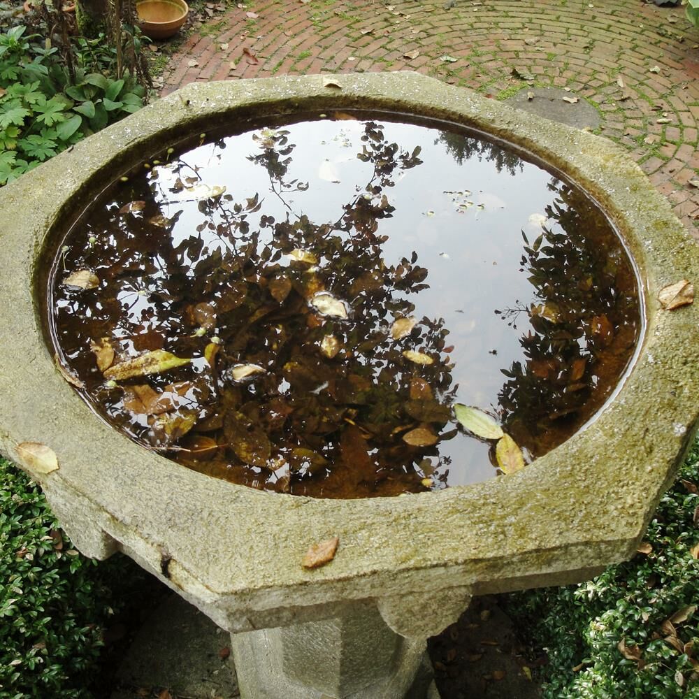  Garten Vogelbad Stehend - Sindbad