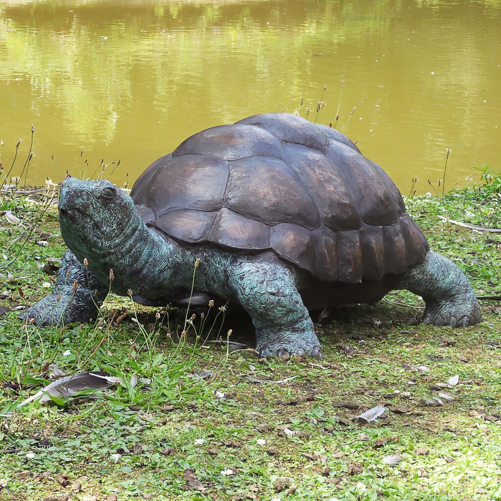  Große Bronze Figur Mit Schildkröte - Kurma