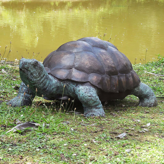  Große Bronze Figur Mit Schildkröte - Kurma