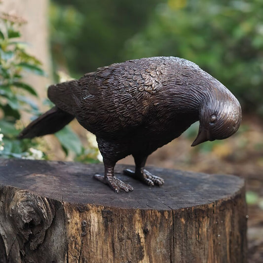  Nach Unten Blickende Taube Als Bronzefigur - Taube Tigris
