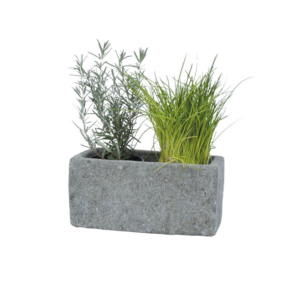  Naturstein Pflanzgefäß Für 12er-Töpfe - Plateia