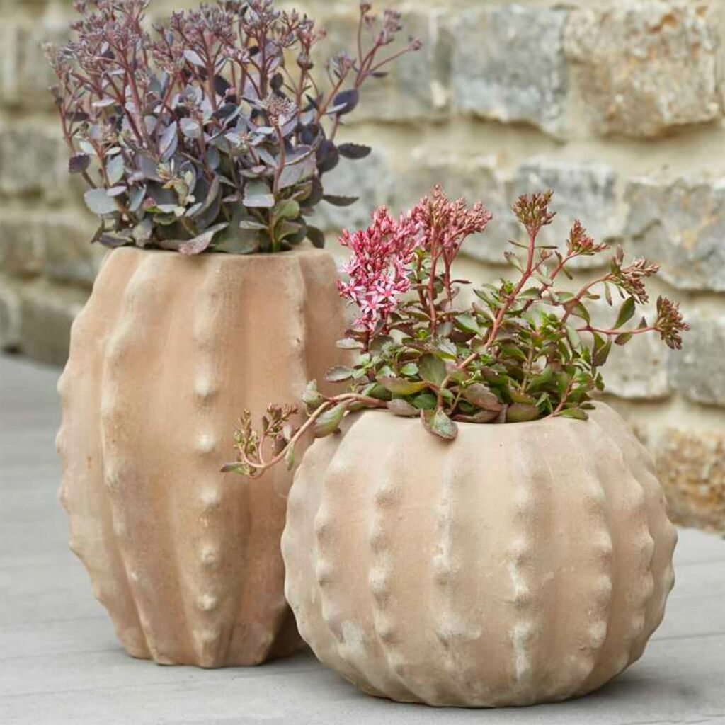  Pflanzvase Für Draußen - Terrakotta - Kaktus-Optik - Timia