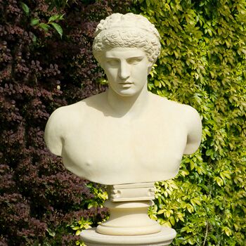  Römische Stein Büste Antik - Antinous