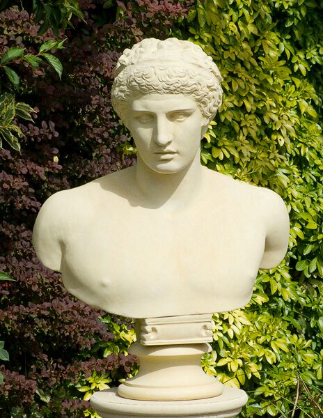  Römische Stein Büste Antik - Antinous