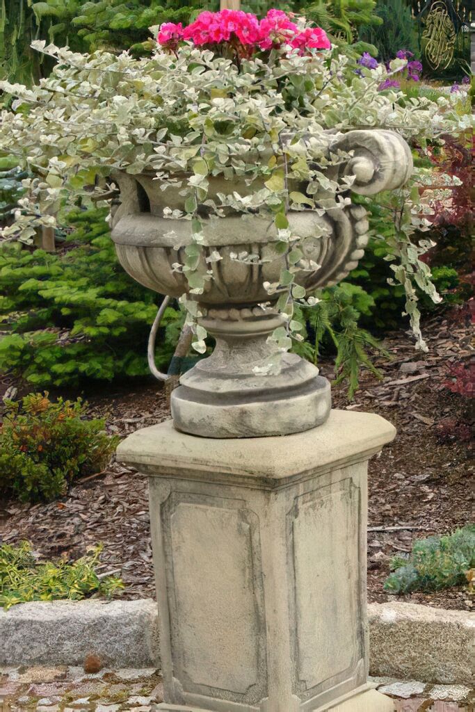  Romantische Pflanzamphore Für Den Garten - Wilhelma
