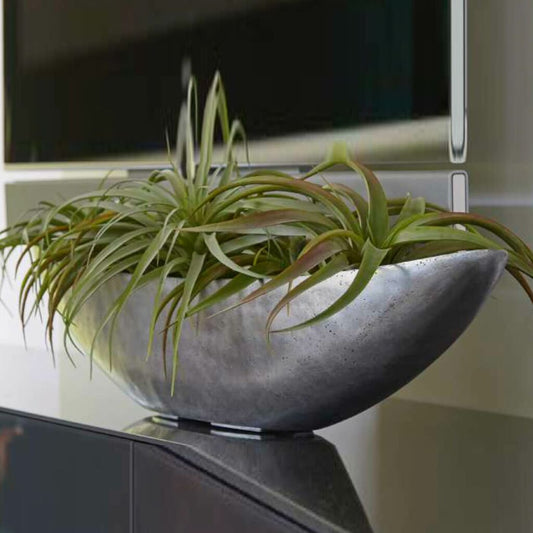  Schiffchen Zum Bepflanzen - Indoor - Polystone - Silber - Elunam