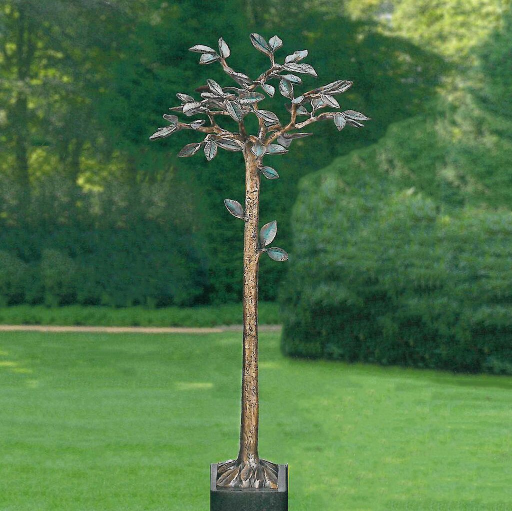  Schöner Bronzebaum Mit Grünen Blättern Für Den Garten - Bavora