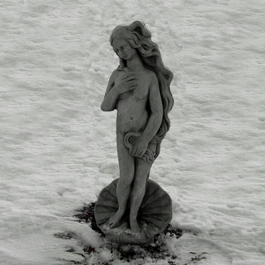  Stehende Steinguss Gartenstatue - Venus Auf Muschel - Belle