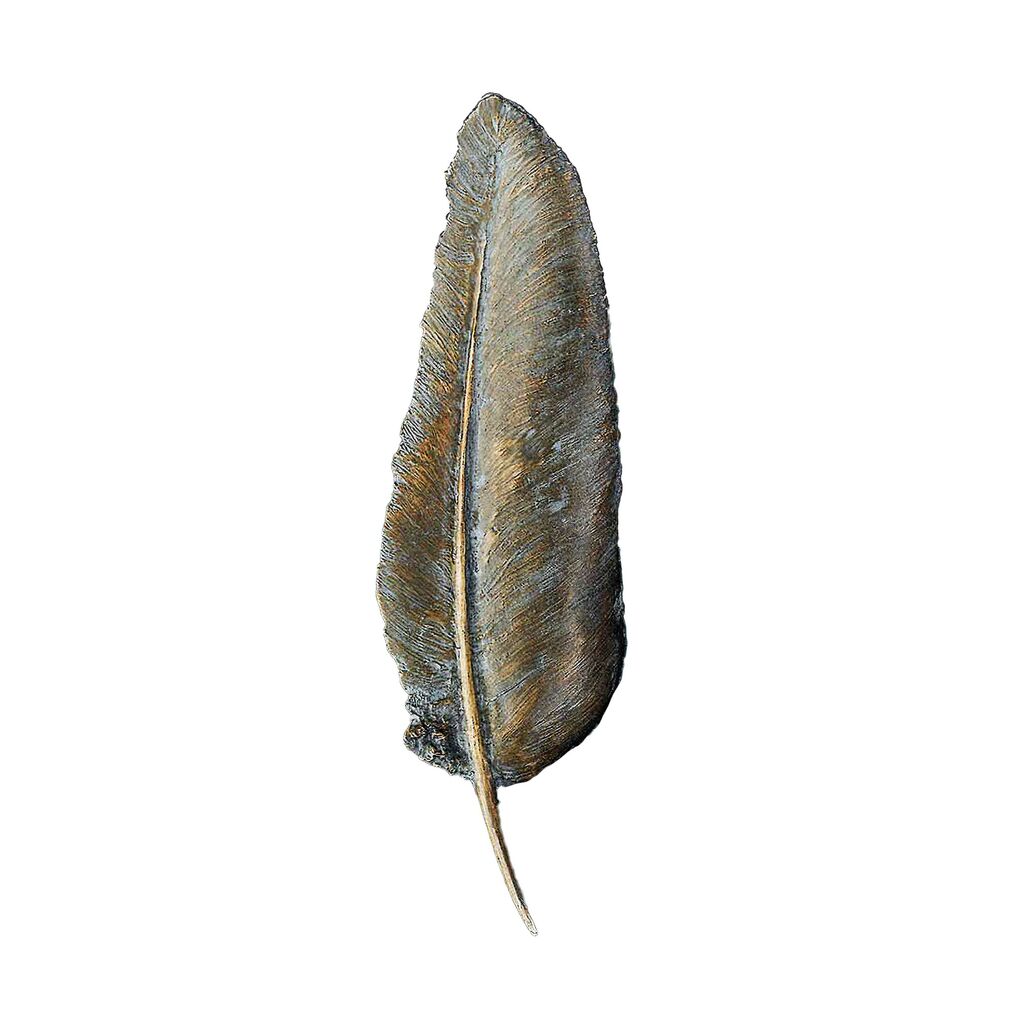  Stilvolles Wandrelief Feder Aus Bronze Mit Wachgusspatina - Feder
