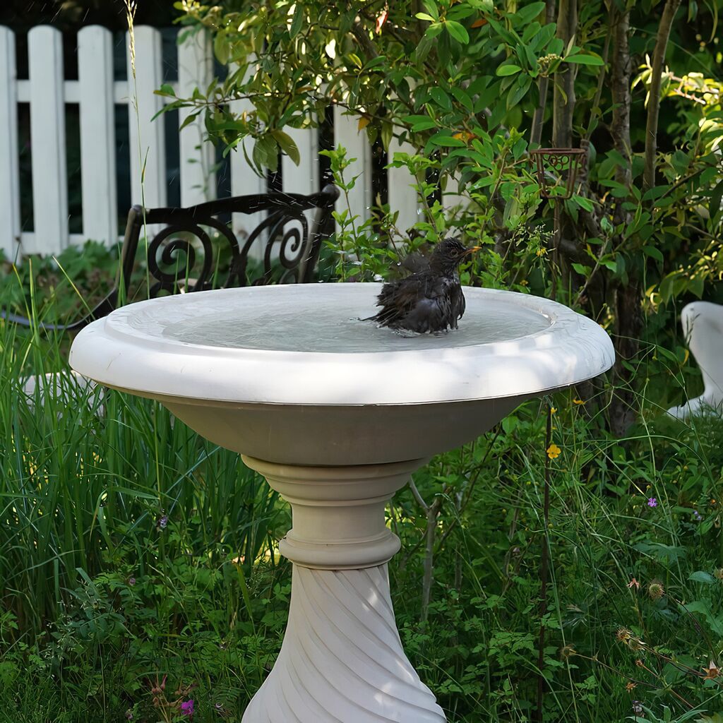  Vogelbad Aus Stein Kaufen - Arabella