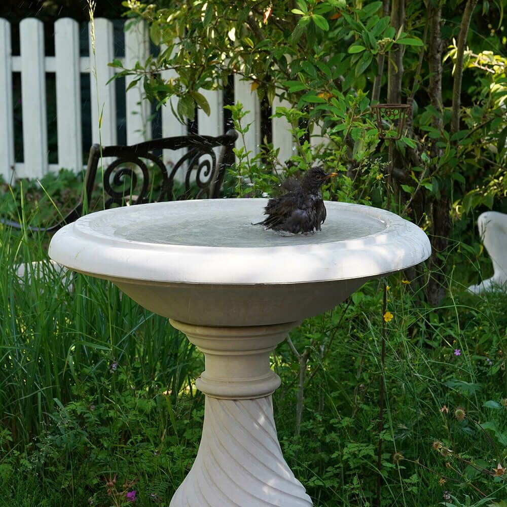  Vogelbad Aus Stein Kaufen - Arabella
